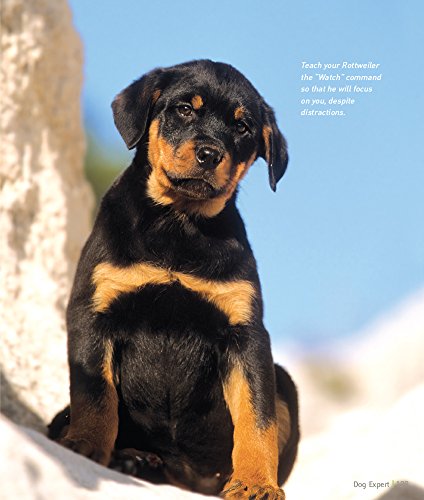 Rottweiler (Dog Expert),Used