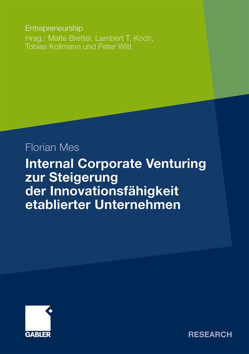 Internal Corporate Venturing zur Steigerung der Innovationsfhigkeit etablierter Unternehmen: Ein konzeptioneller Ansatz zur bert,Used