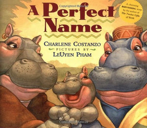 A Perfect Name,Used