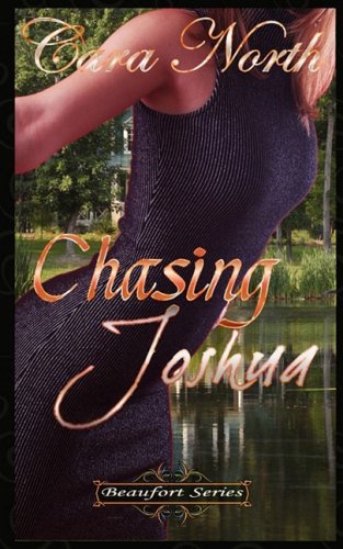 Chasing Joshua,Used