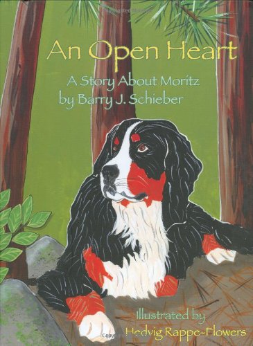 An Open Heart: A Story about Moritz,Used