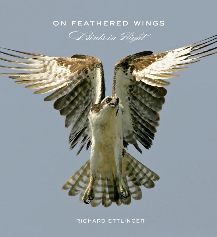 On Feathered Wings: Birds in Flight,New