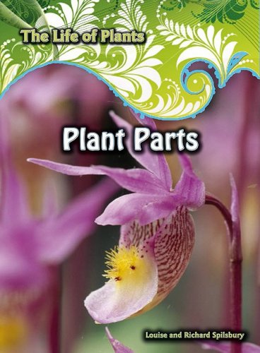 Plant Parts (The Life of Plants),Used