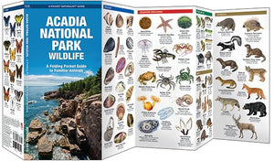 Acadia National Park Wildlife: A Folding Pocket Guide to Familiar Animals (Wildlife and Nature Identification),Used