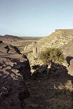 Peter Schlesinger: Eight Days in Yemen,Used