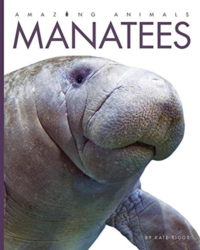Amazing Animals  Classic Edition: Manatees Hardcover,Used