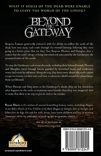 Beyond the Gateway (Reapers Trilogy V2),Used