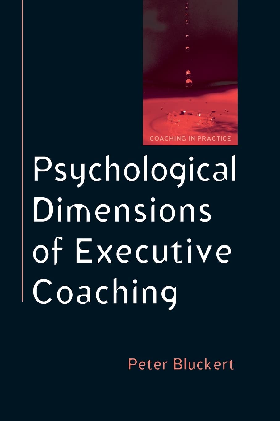 Psychological Dimensions To Executive Coaching (Coaching in Practice (Paperback)),Used