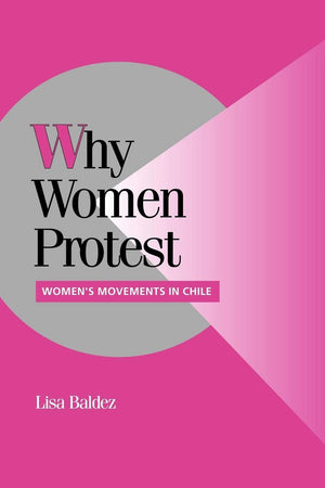 Why Women Protest: Women's Movements in Chile (Cambridge Studies in Comparative Politics),Used