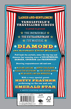 Diamond (Hetty Feather),Used