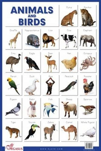 Animals & Birds - Thick Laminated Educational Chart