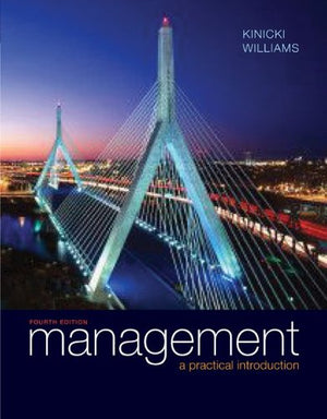 Management: A Practical Introduction-used