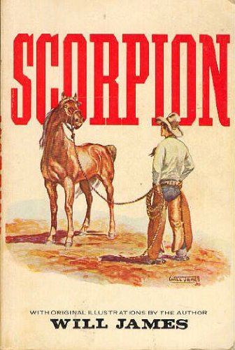 Scorpion, a Good Bad Horse,Used
