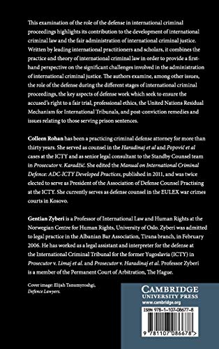 Defense Perspectives on International Criminal Justice,Used