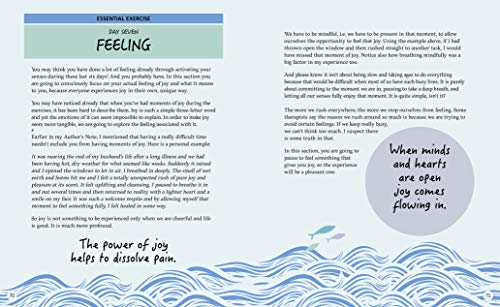 The Joy of Mindful Journaling: Finding Serenity Through Creative Expression (Sirius Mindful Journals),Used