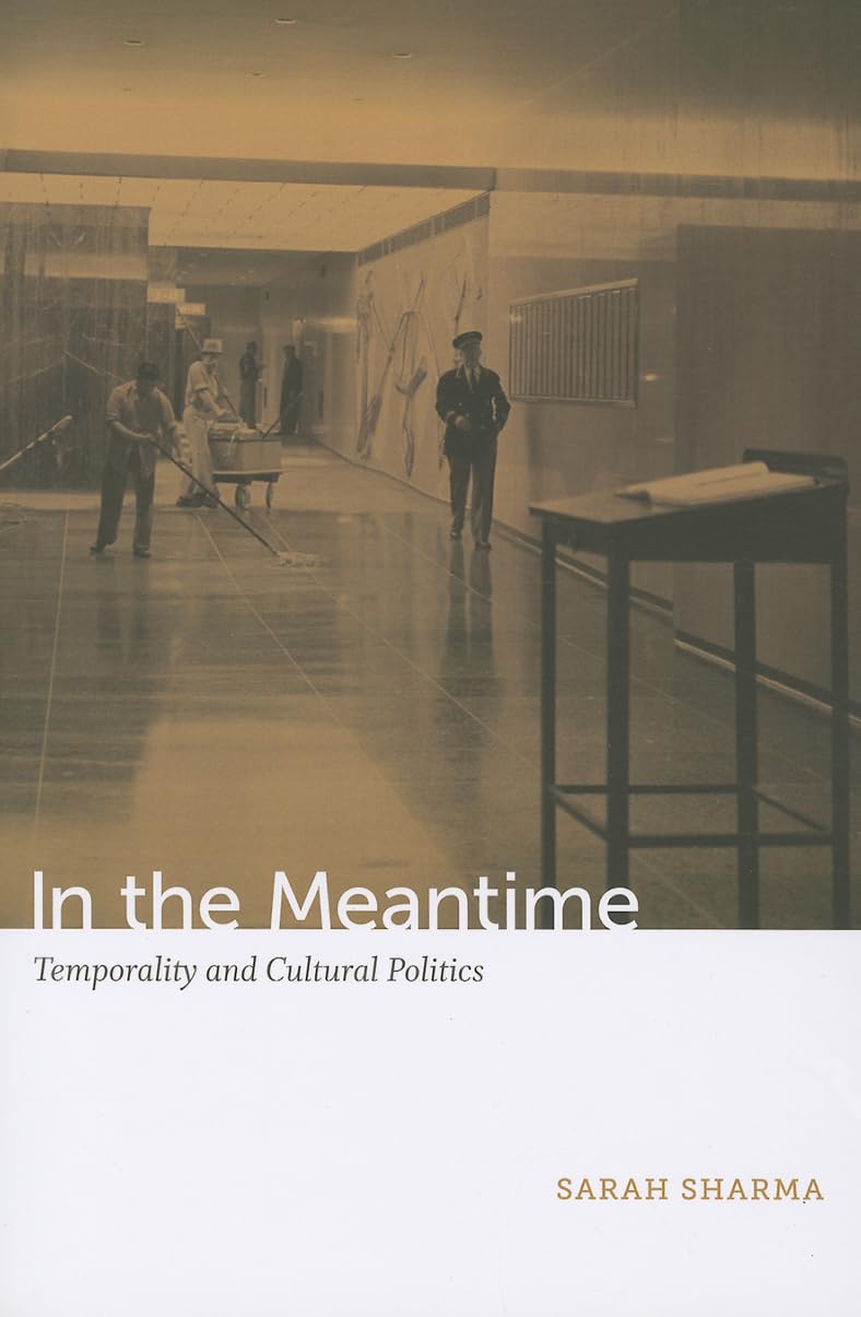 In The Meantime: Temporality And Cultural Politics,New