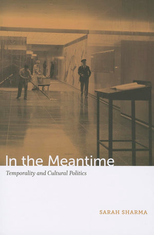 In the Meantime: Temporality and Cultural Politics,Used