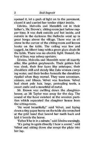 National Velvet (Dover Children's Evergreen Classics),Used