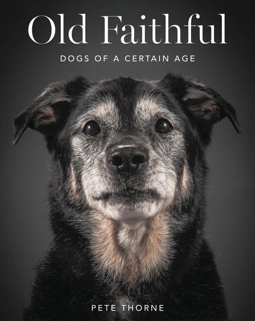 Old Faithful: Dogs Of A Certain Age-used