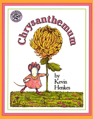 Chrysanthemum,Used
