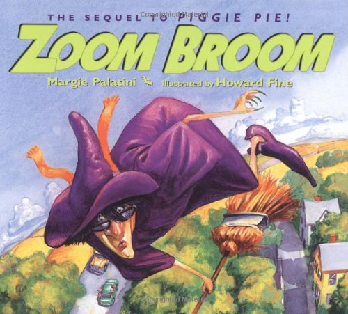 Zoom Broom,Used