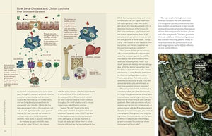 Christopher Hobbs's Medicinal Mushrooms: The Essential Guide: Boost Immunity, Improve Memory, Fight Cancer, Stop Infection, and ,New