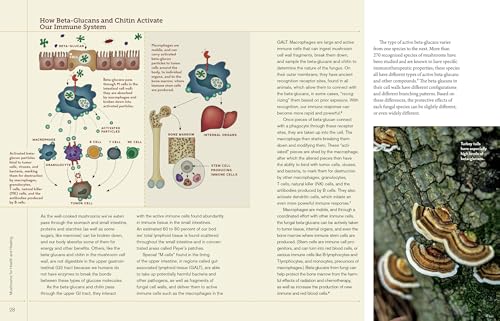 Christopher Hobbs's Medicinal Mushrooms: The Essential Guide: Boost Immunity, Improve Memory, Fight Cancer, Stop Infection, and ,Used