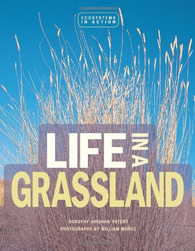 Life in a Grassland (Ecoystems in Action),Used
