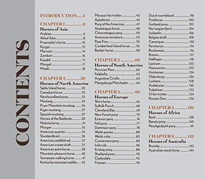 Horses: Bold and Beautiful,Used