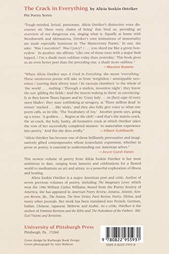 The Crack In Everything (Pitt Poetry Series),Used