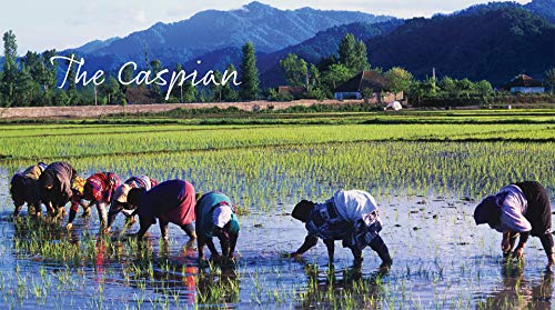Cooking In Iran: Regional Recipes And Kitchen Secrets,Used