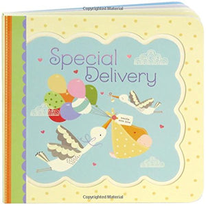 Special Delivery: Children's Board Books (Little Bird Greetings),Used
