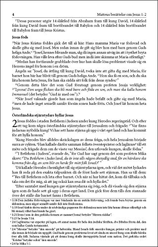 Levande Bibeln, Swedish New Testament, Paperback: Nya Testamentet (Swedish Edition),Used