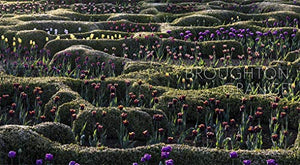 Tom Stuart Smith: Drawn from the Land,Used