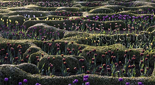 Tom Stuart Smith: Drawn from the Land,Used