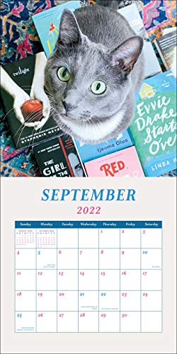 Cats & Books 2022 Wall Calendar,New