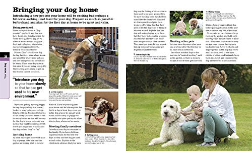 Complete Dog Care,Used