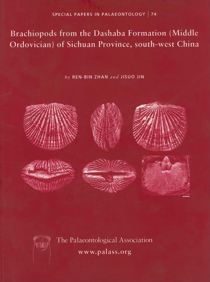 Brachiopods from the Dashaba Formation Middle Ordovician of Sichuan Province, Southwest China: Brachiopods from the Dashaba For,Used