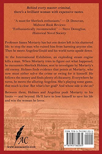 Moriarty Meets His Match: A Professor & Mrs. Moriarty Mystery (The Professor & Mrs. Moriarty Mystery Series),Used