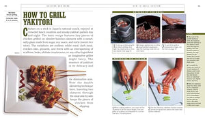 How to Grill: The Complete Illustrated Book of Barbecue Techniques, A Barbecue Bible! Cookbook (Steven Raichlen Barbecue Bible C,Used