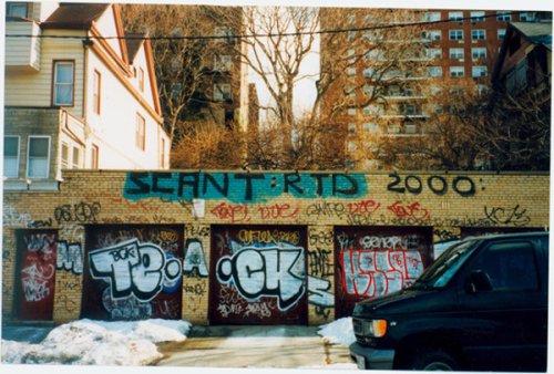 Vandal Squad: Inside the New York City Transit Police Department, 19842004,Used