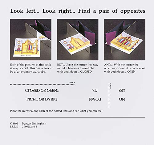 Look Twice: Use the Mirror to Find Pairs of Opposites,Used