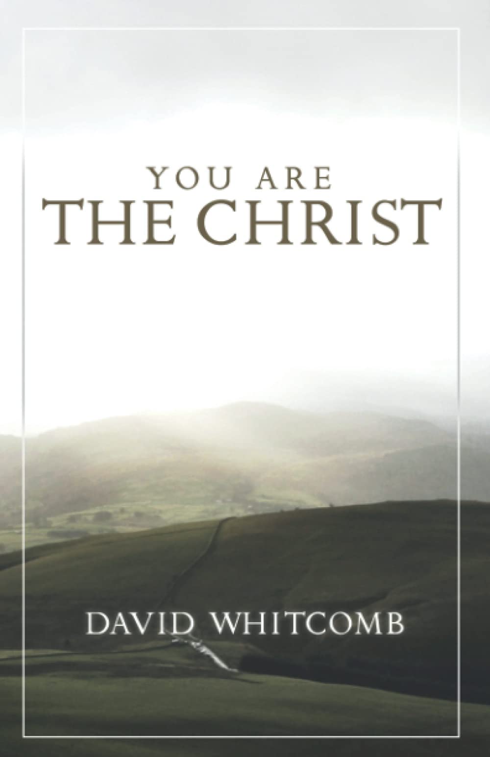 You Are the Christ: Discovering the Man from Nazareth Through His Conversations,Used