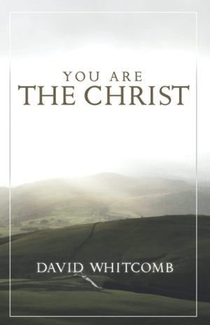 You Are the Christ: Discovering the Man from Nazareth Through His Conversations,Used