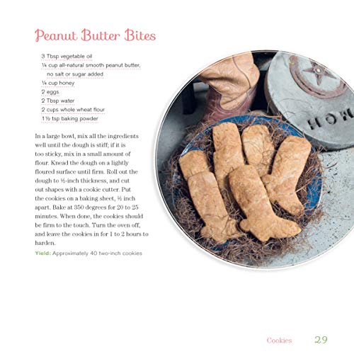 Doggy Desserts: 125 Homemade Treats For Happy, Healthy Dogs (Companionhouse Books) Easy & Nutritious Caninefriendly Recipes For