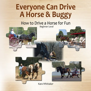 Everyone Can Drive a Horse and Buggy: How to Drive a Horse for Fun  Beginner Level,Used