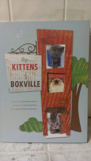 The Kittens Of Boxville