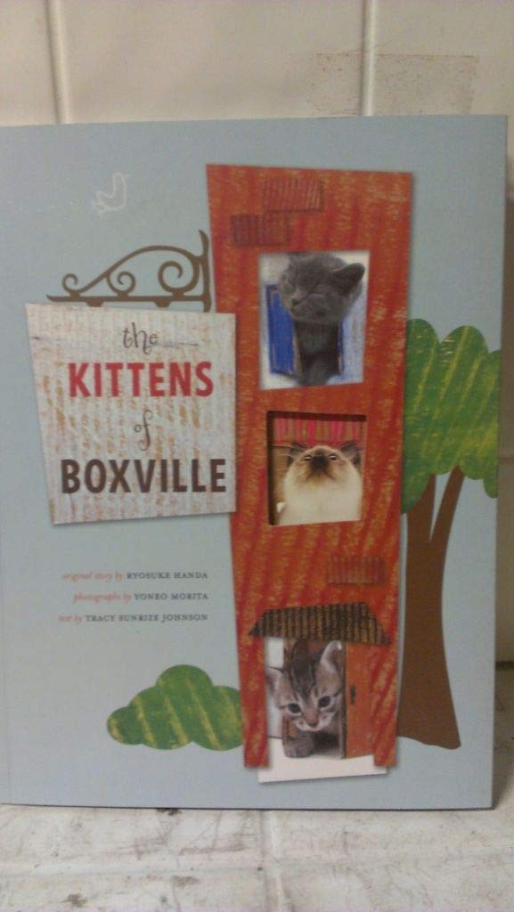 The Kittens Of Boxville