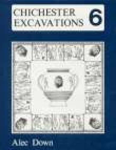Chichester Excavations 6,Used