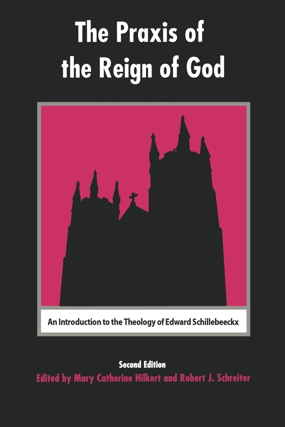 The Praxis Of The Reign Of God: An Introduction To The Theology Of Edward Schillebeeckx.,Used